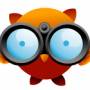 owl_binoculars.jpg