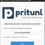 pritunl-db.png